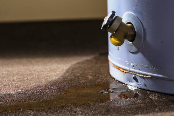 Best Flood damage cleanup  in Clarence Center, NY