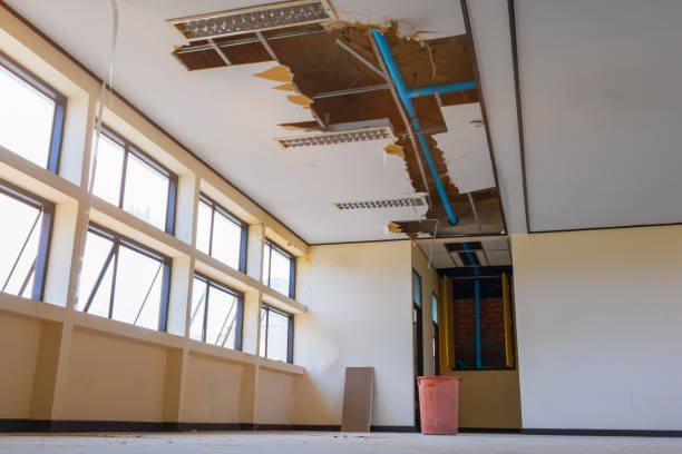 Best Carpet water damage restoration  in Clarence Center, NY