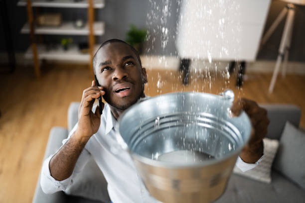 Best Flood restoration services  in Clarence Center, NY