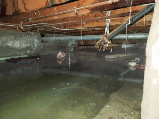 Best Residential water damage restoration  in Clarence Center, NY