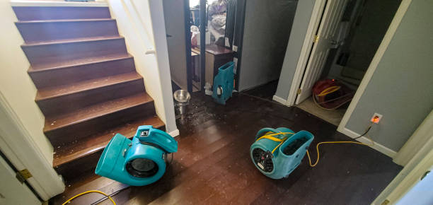 Best Ceiling water damage repair  in Clarence Center, NY