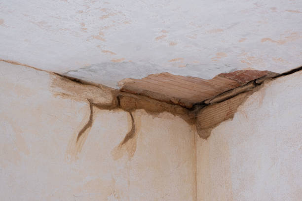 Best Water damage cleanup near me  in Clarence Center, NY