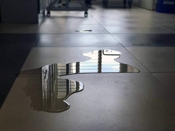 Best Emergency water damage restoration  in Clarence Center, NY