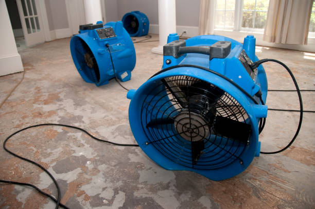 Best Fire Damage Restoration  in Clarence Center, NY