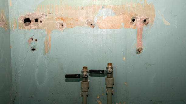 Best 24-hour water damage restoration  in Clarence Center, NY