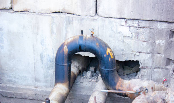 Best Water damage restoration near me  in Clarence Center, NY