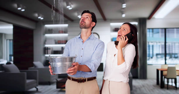 Best Water damage contractors near me  in Clarence Center, NY
